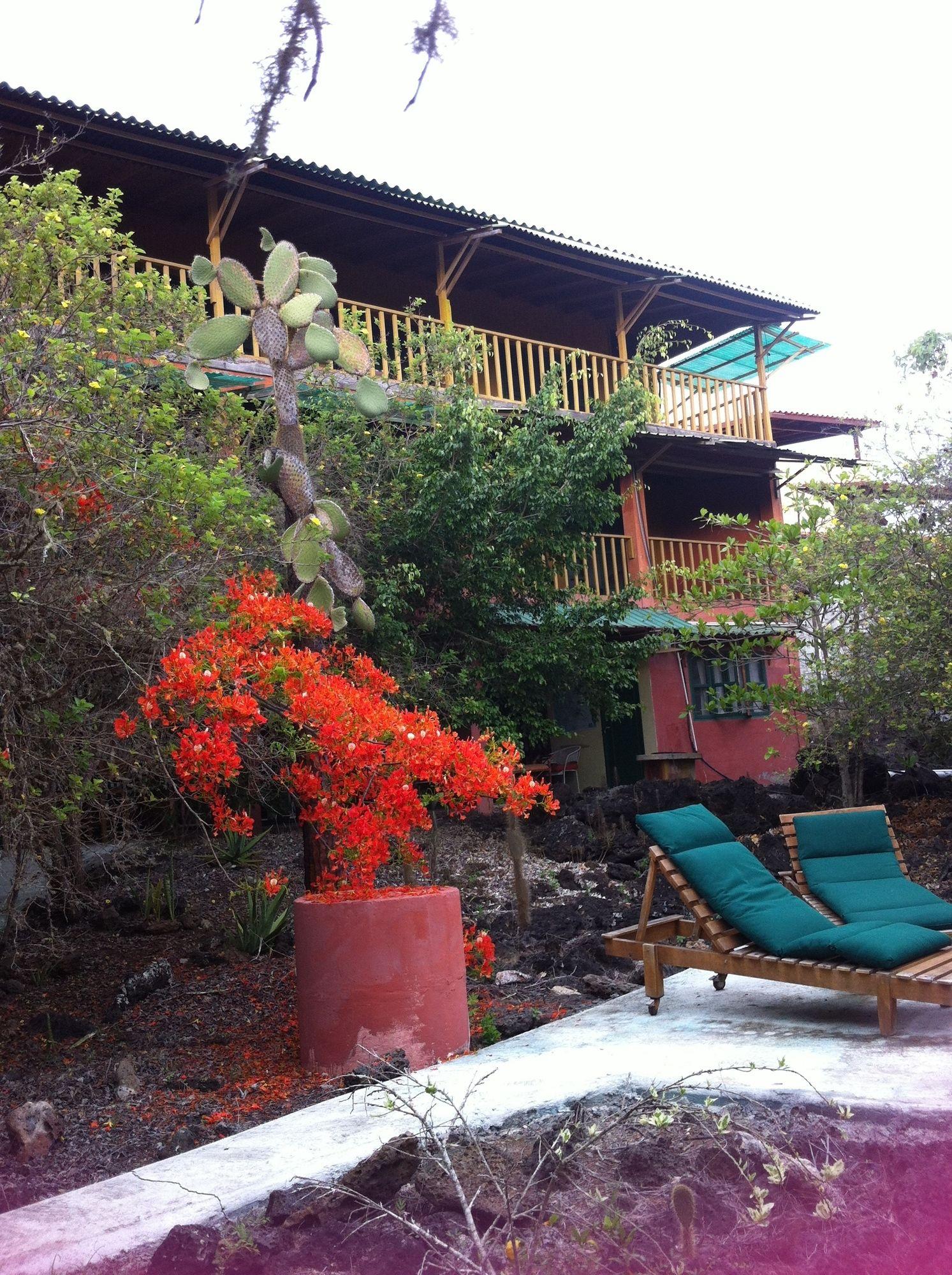 Galapagos Chalet Puerto Ayora (Galapagos Islands) Exterior foto